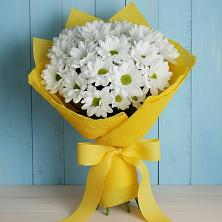 Букет цветов из:  Хризантемы в Ильинка Тульская область