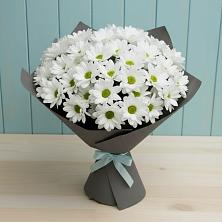 Букет цветов из:  Хризантемы в Ильинка Тульская область