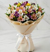 Букет цветов из:  Альстромерии в Ильинка Тульская область