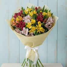 Букет цветов из:  Альстромерии в Ильинка Тульская область